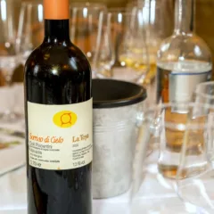 Sorriso di cielo Malvasia Colli Piacentini doc 2022, La Tosa - crediti luca managlia