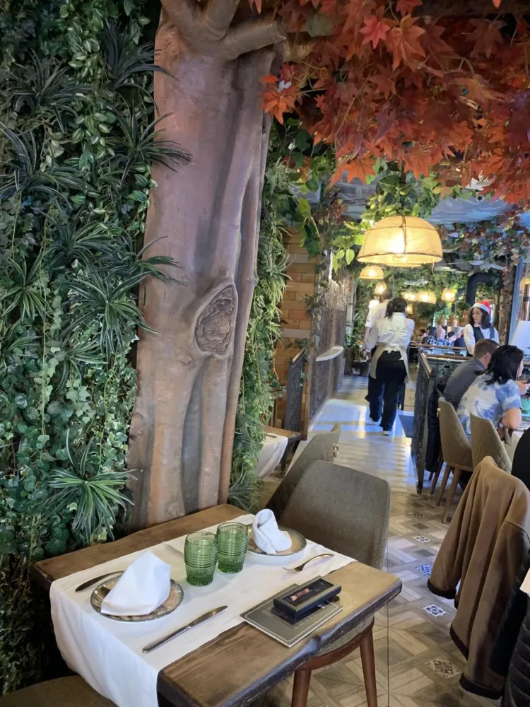 La Selva Barcellona, la sala