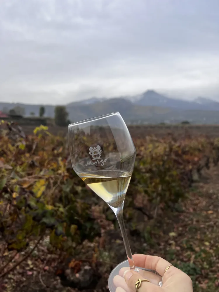 Spumanti dell'Etna 2023 -Murgo