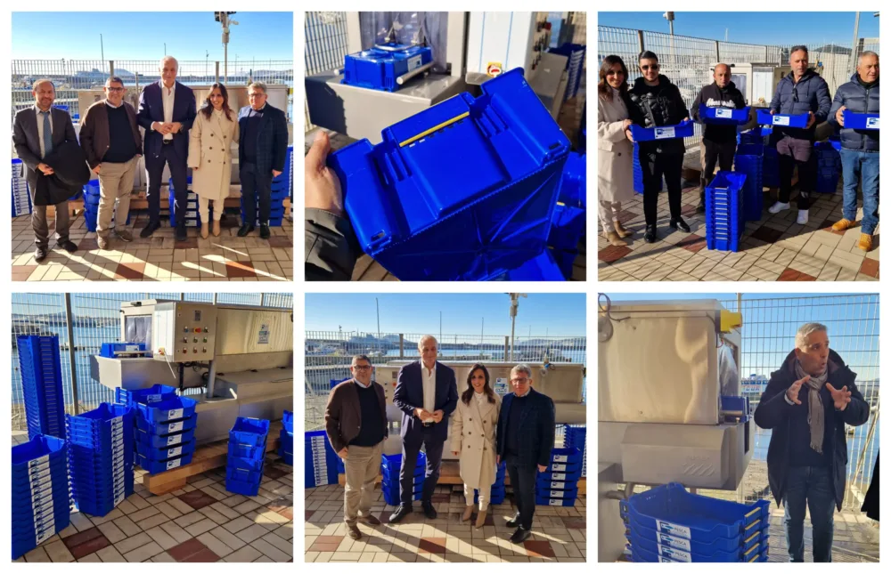 Azzurro Pozzuoli - consegna cassette