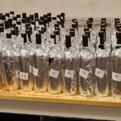 Brunello - 2018 - 2019