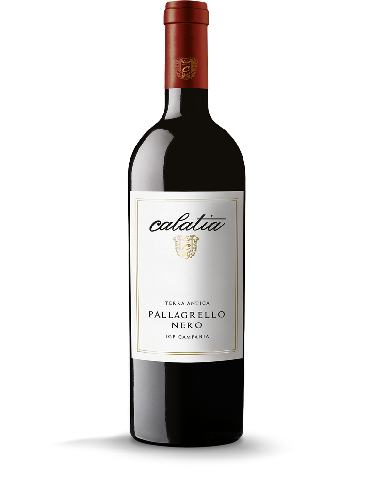 Calatia Pallagrello Nero Terra Antica