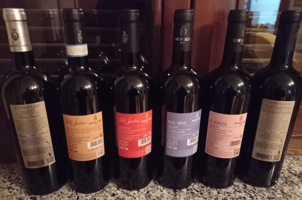 Controetichette vini Leone De Castris