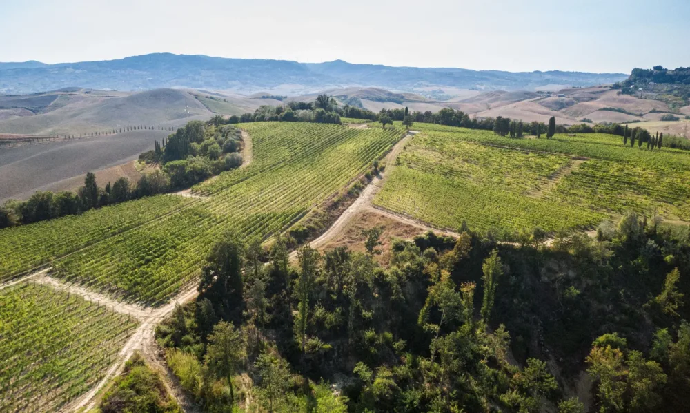 Fattoria di Fibbiano