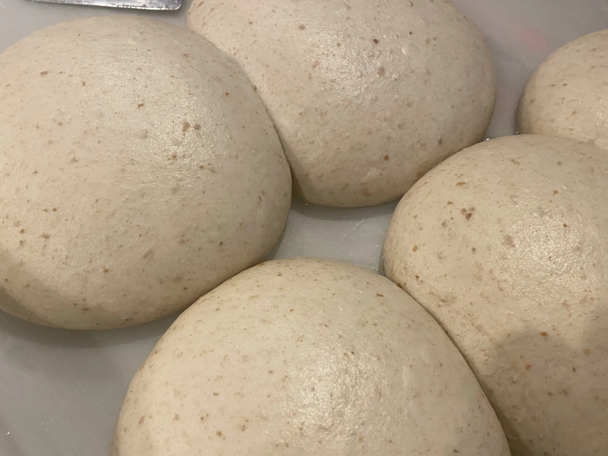 Panetti-da-260-grammi-Pizzeria-Manuno