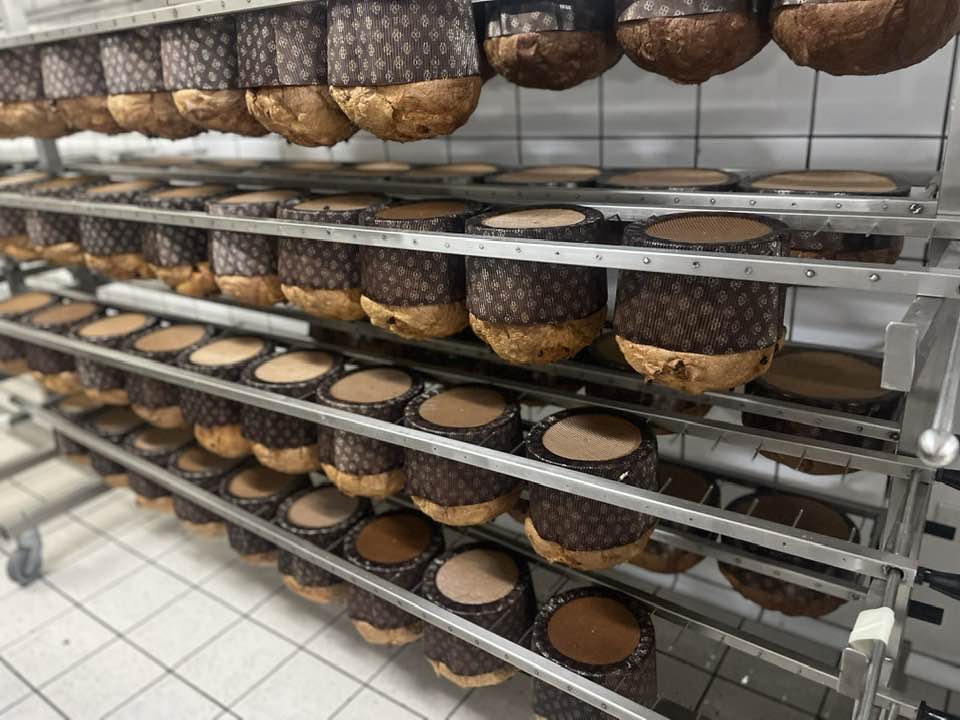 Punto Freddo - nel laboratorio