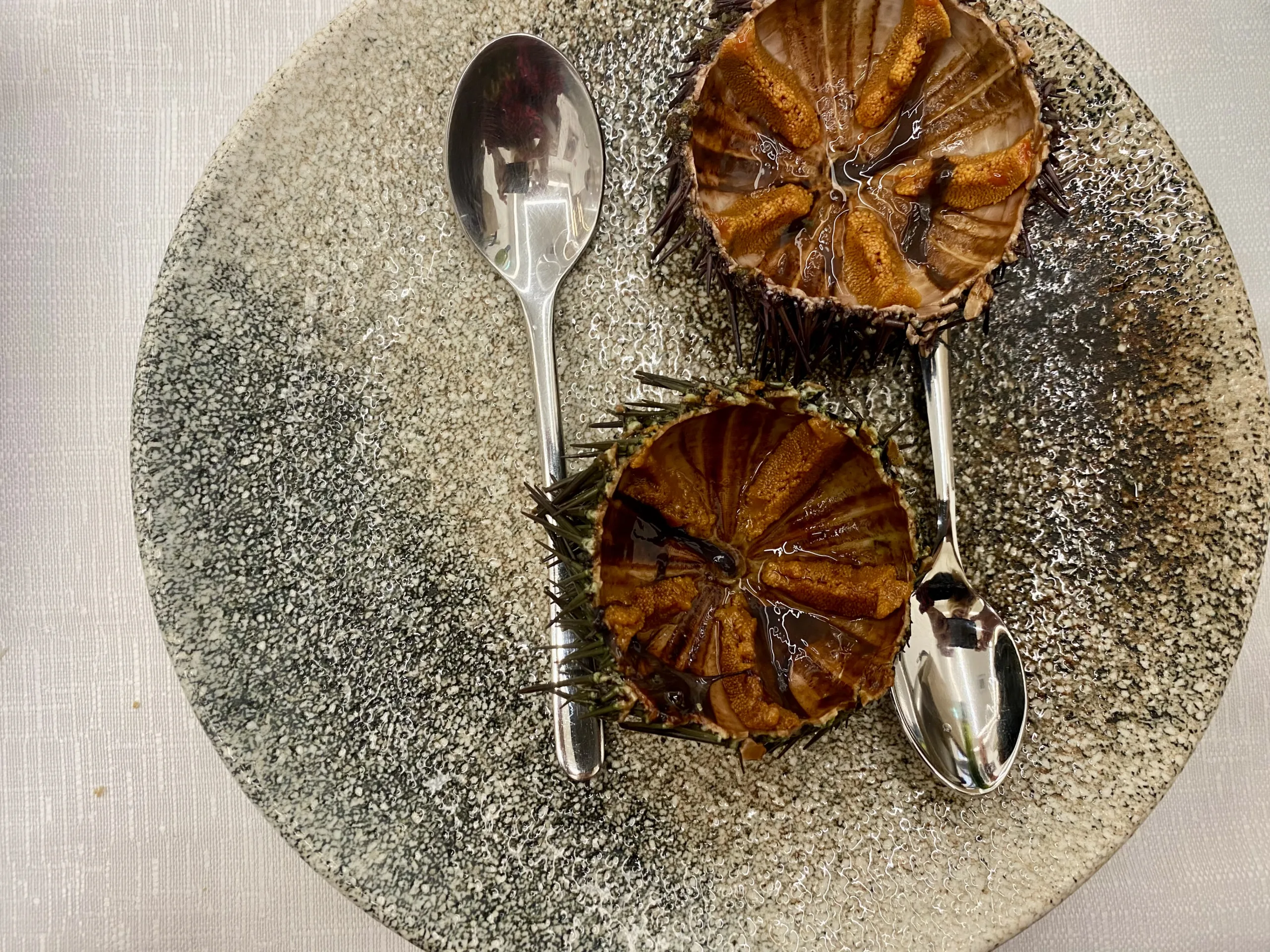 Ricci-di-mare-La-Tammurriata