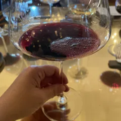 Roggio del Filare Velenosi