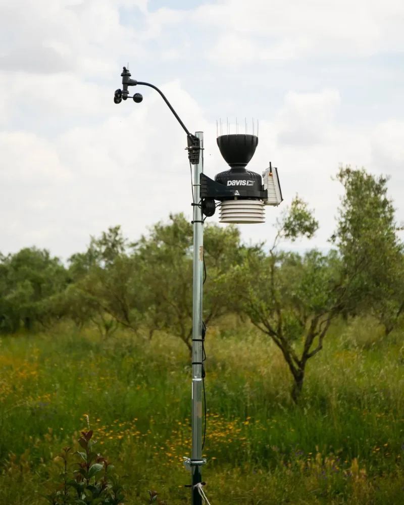 Stazione meteo per monitoraggio Az. Agricola Bianchini