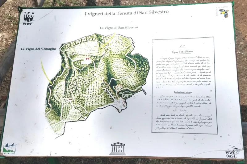 Tenuta San Silvestro