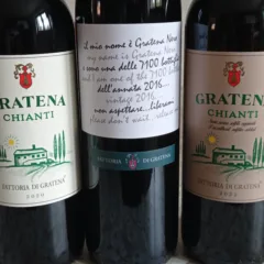 Vini Fattoria Gratena