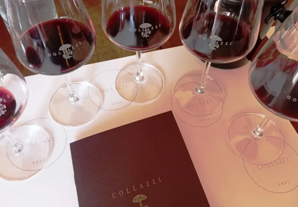 Collazzi verticale degustazione