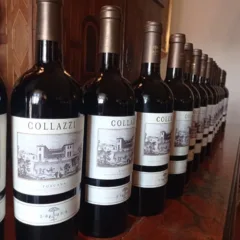 Collazzi - verticale carrellata