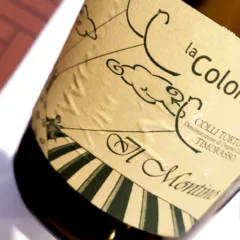 Colli Tortonesi DOC Timorasso il Montino, La Colombera
