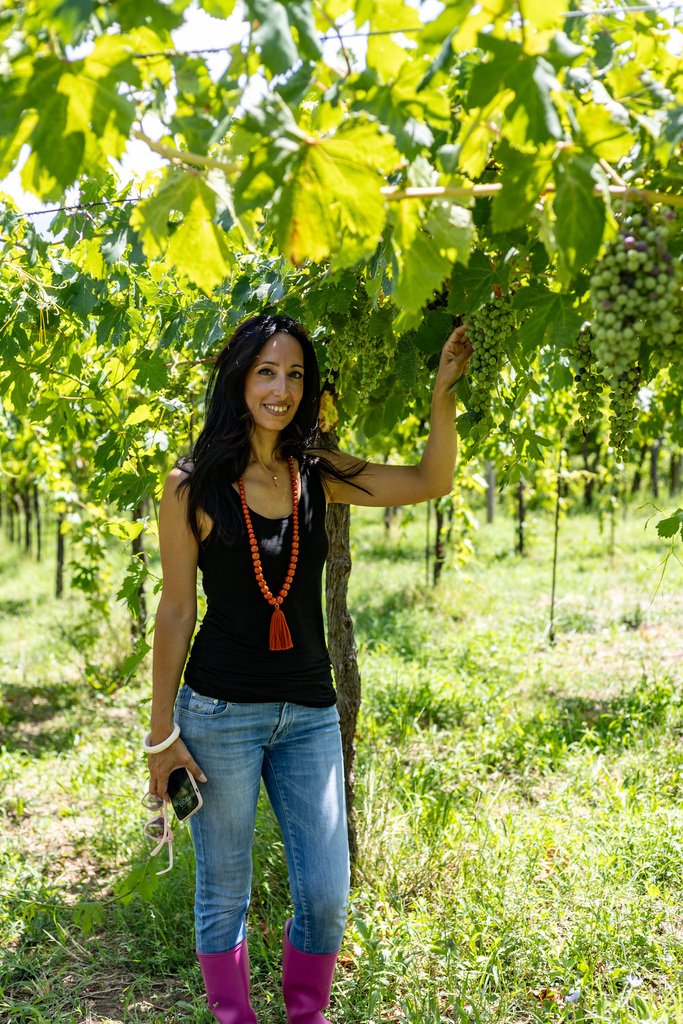 Cantina Teresa Micione, sotto la vigna a pergolato