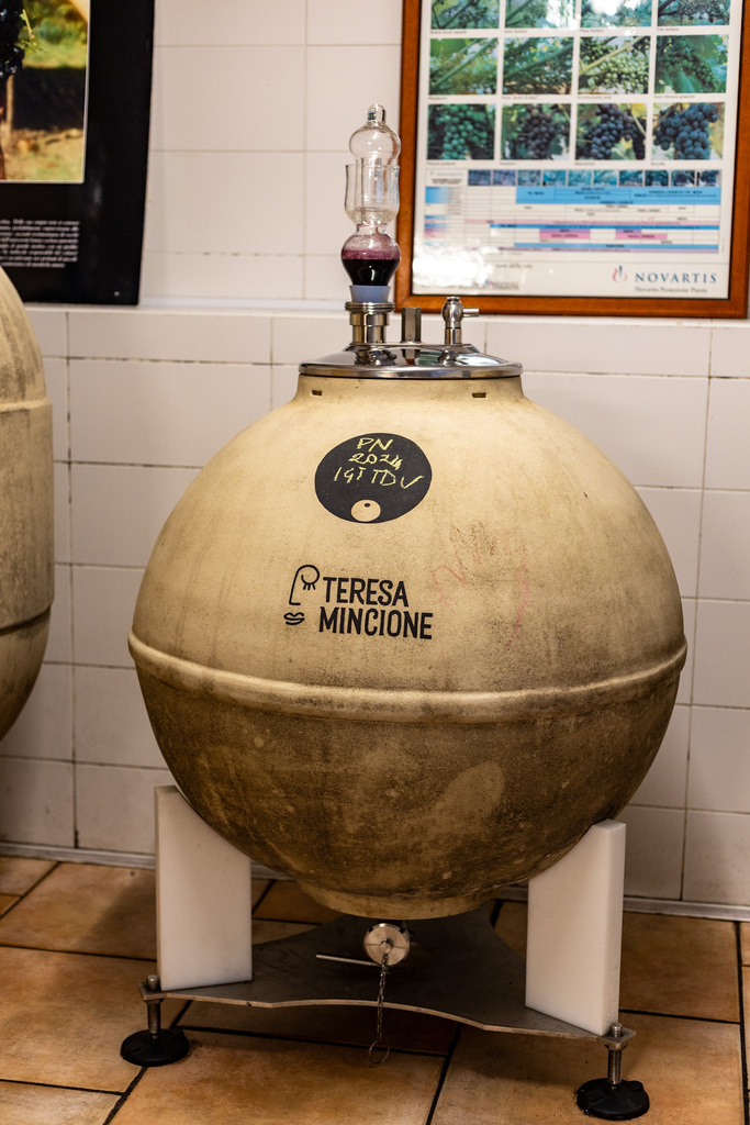 Cantina Teresa Mincione, la nano cantina