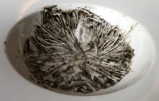 Il simbolico piatto vuoto