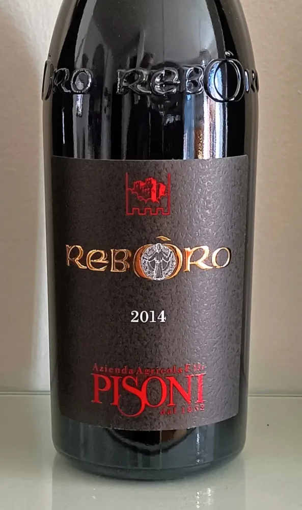 Reboro 2014 - Pisoni