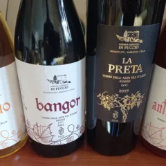 Vini Di Fuccio