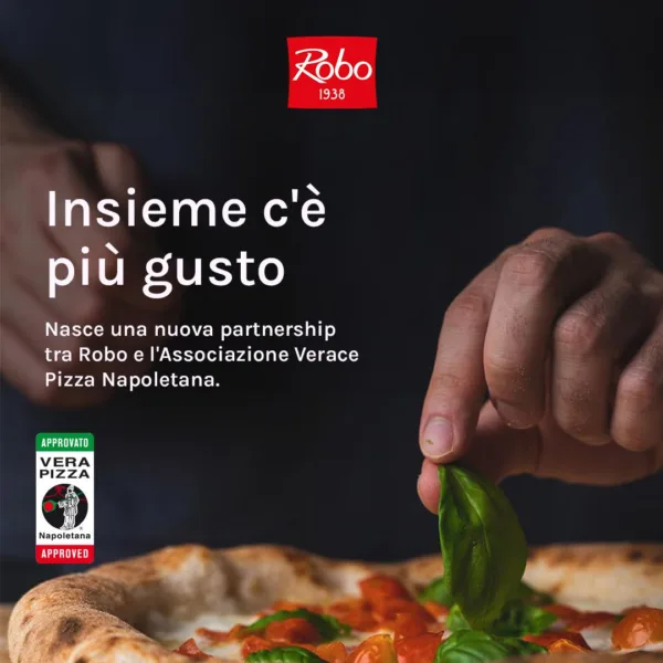 partnership Robo AVPN