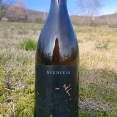 Igt Toscana bianco, Scipio