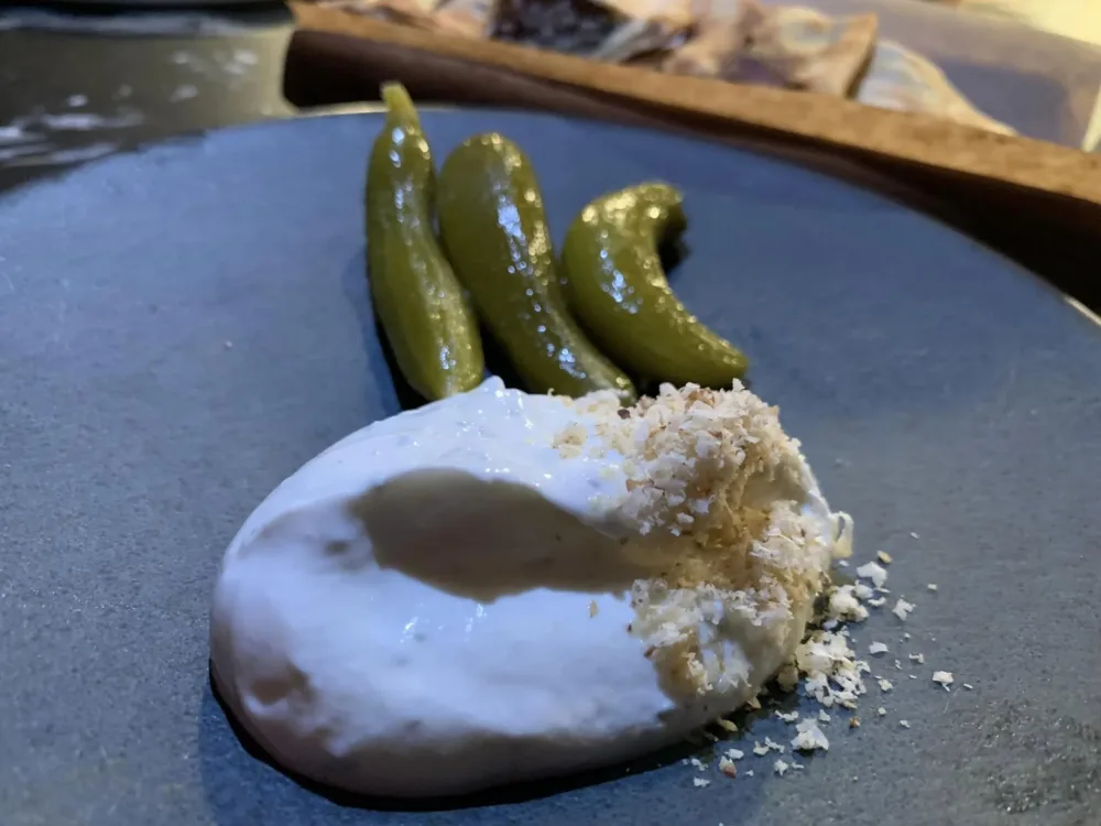 Mürver Restaurant Istanbul, salsa di yogurt e coriandolo con cetriolini sott'aceto