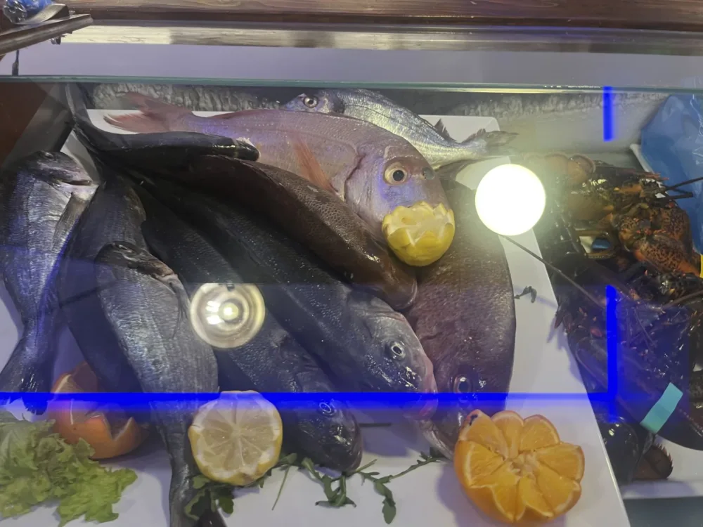 Brezzamarina - banco del pescato