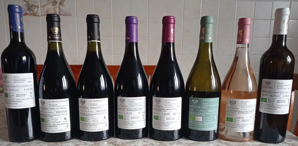 Controetichette vini Tenuta Plasinium