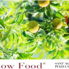 Mercato della terra Sant'Agnello