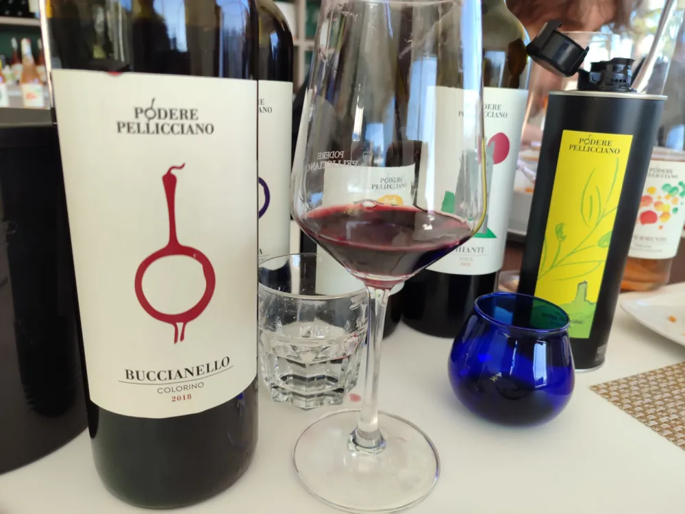 PODERE PELLICCIANO - BUCCIANELLO