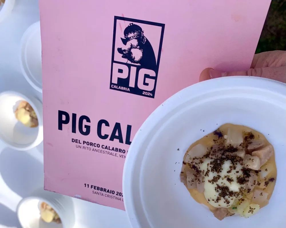Pig Calabia- Egg Pig di Giacomo Sacchetto