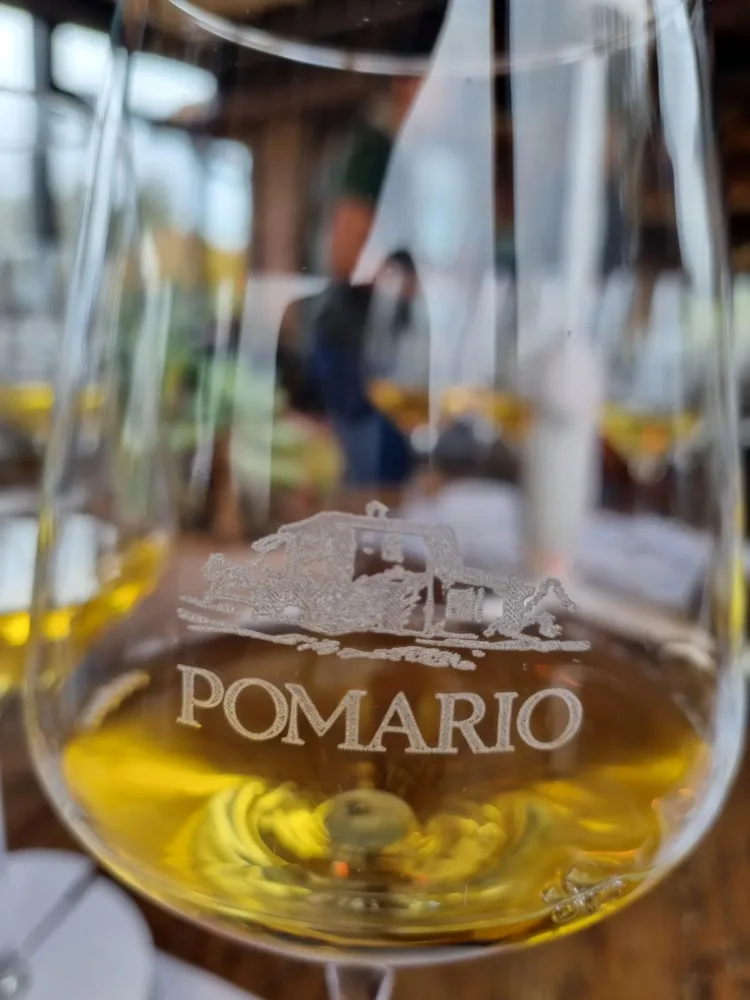 Pomario – Umbria Bianco IGT Arale 2010, colore