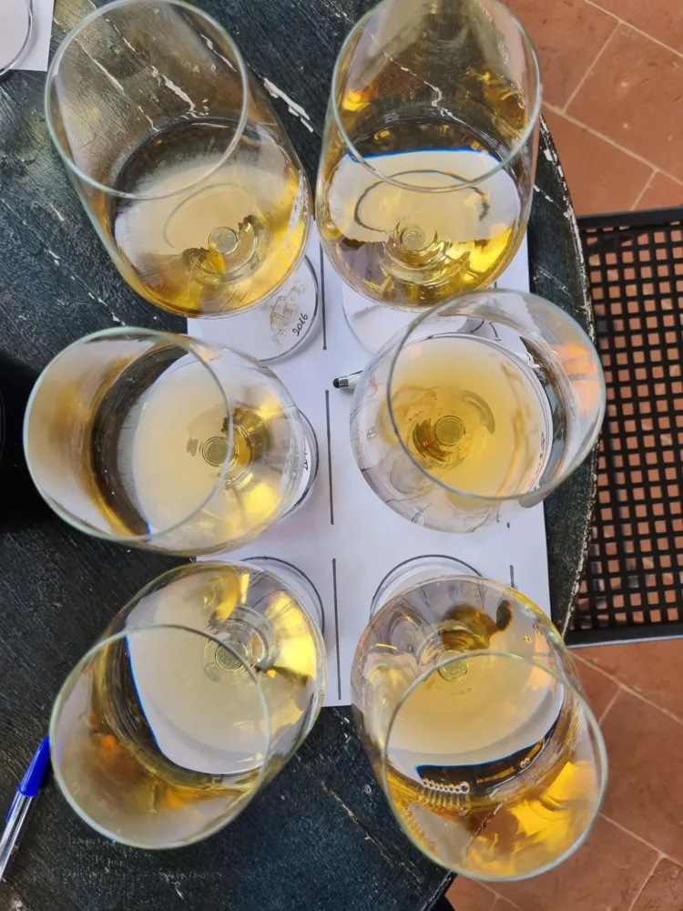 Pomario – Umbria Bianco IGT Arale, verticale