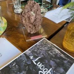 Presentazione de I Luoghi di Suavia tre vini da tre cru diversi nella zona del Soave Classico