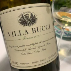 Il verdicchio di Antelio Bucci