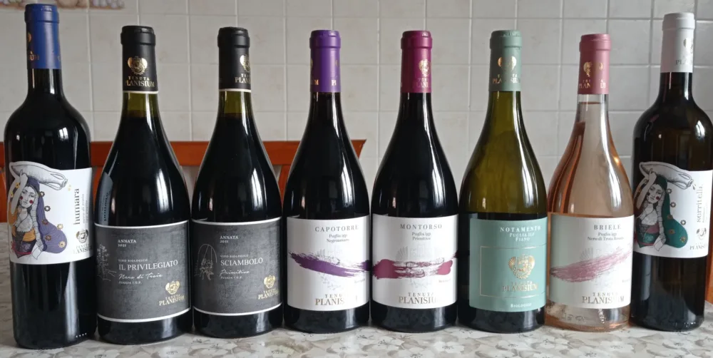 Vini Tenuta Plasinium