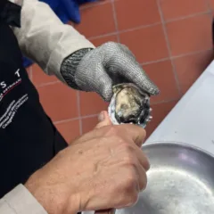 aprire le ostriche AIOST