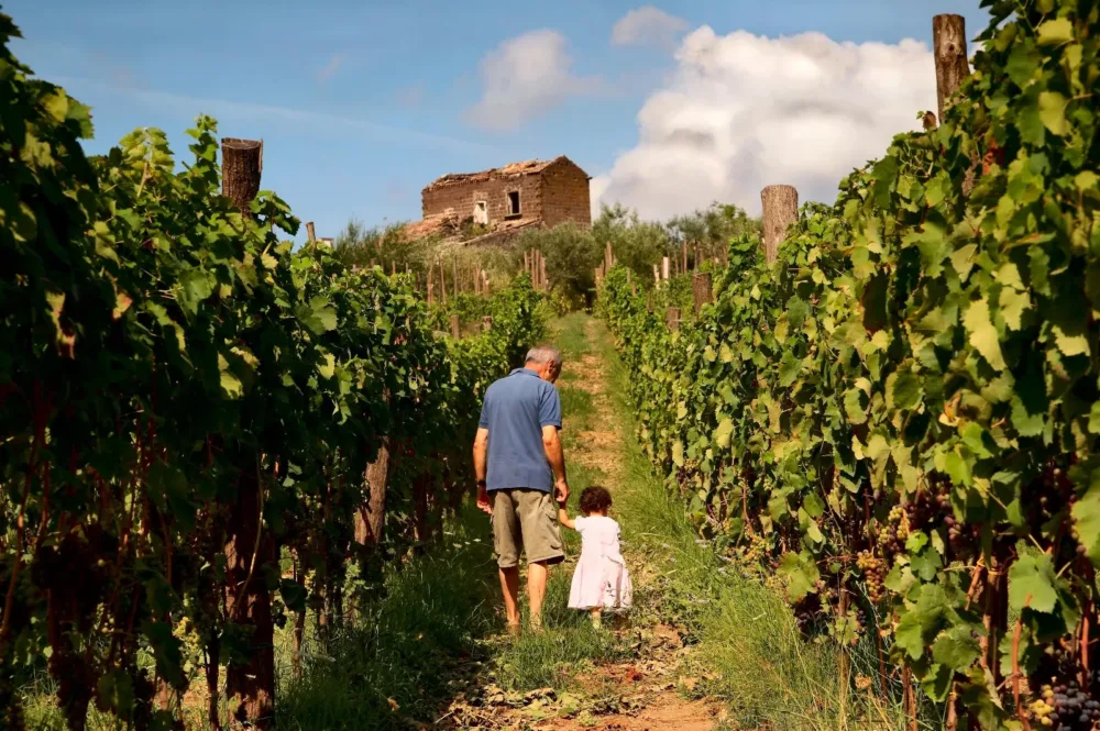 Nonno Alessandro e la piccola Alice in vigna