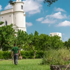 Verso il Mercato della Terra