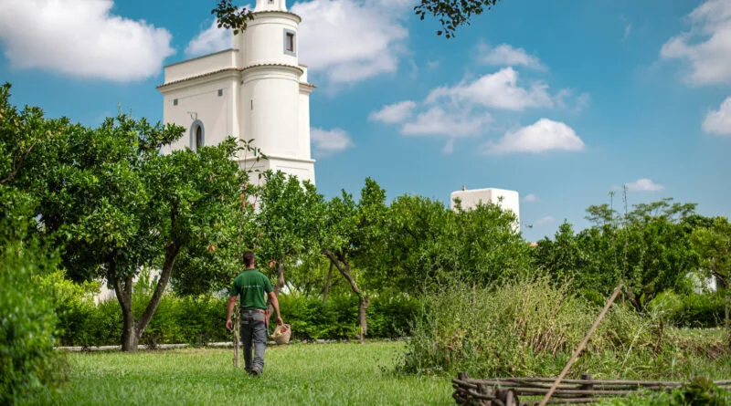 Verso il Mercato della Terra