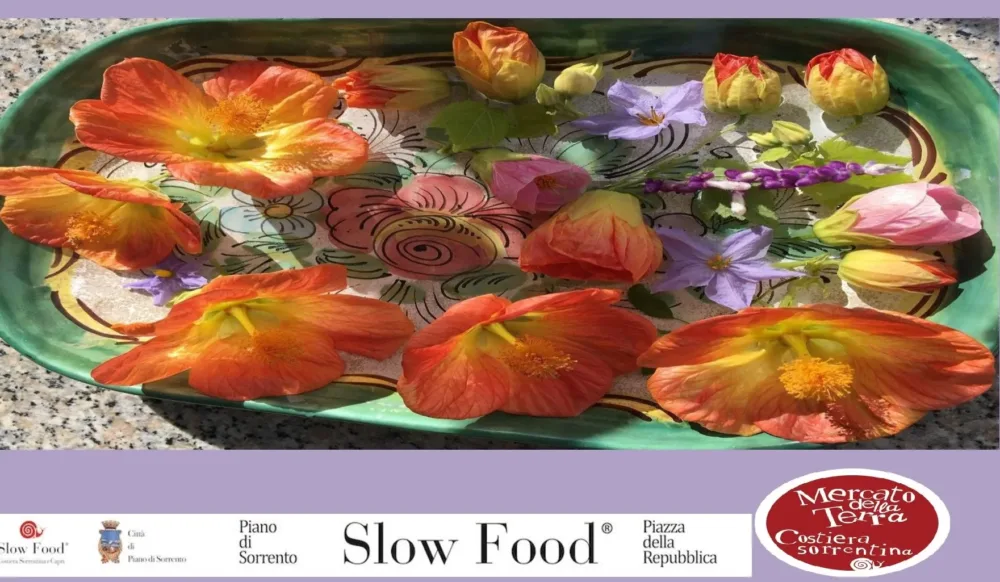 La primavera nel piatto - Mercato della Terra Slow Food a Piano di Sorrento