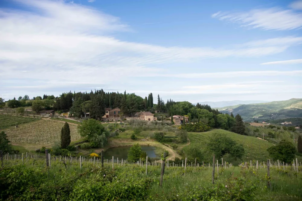 Vecchie Terre di Montefili