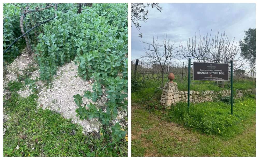 Villa Agreste a Ostuni