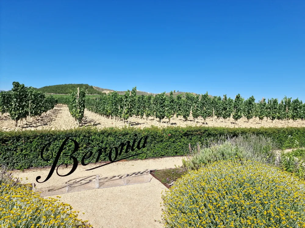rioja - beronia