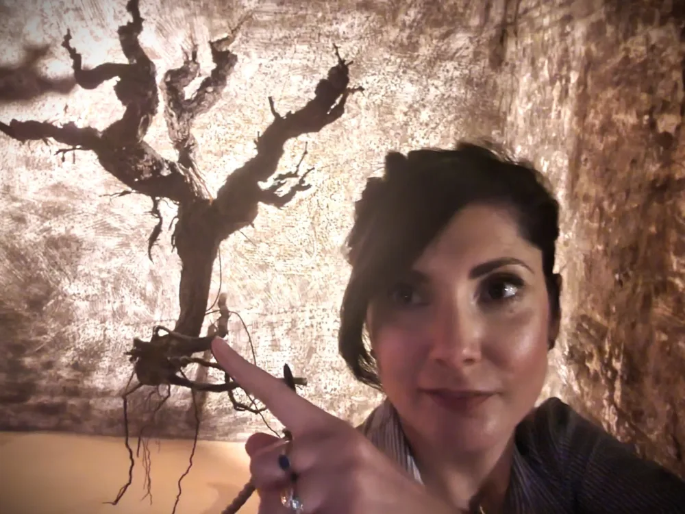 vigne vecchie di garnacha