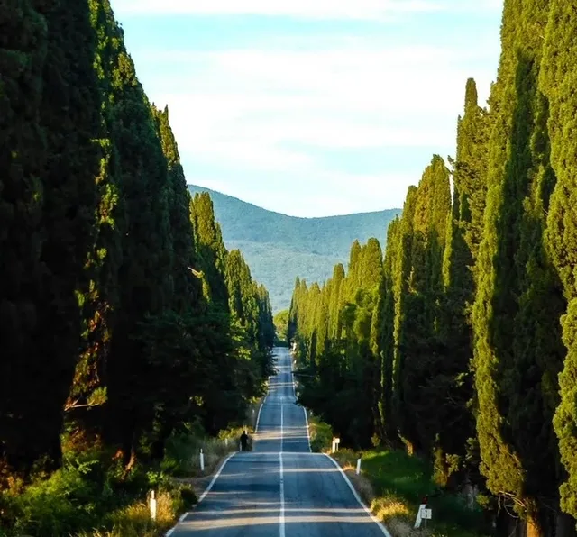 Bolgheri - Viale dei Cipressi