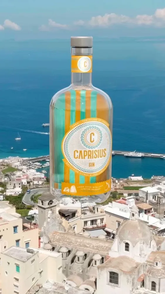 Caprisius Gin Citrus