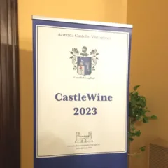 CastelWine