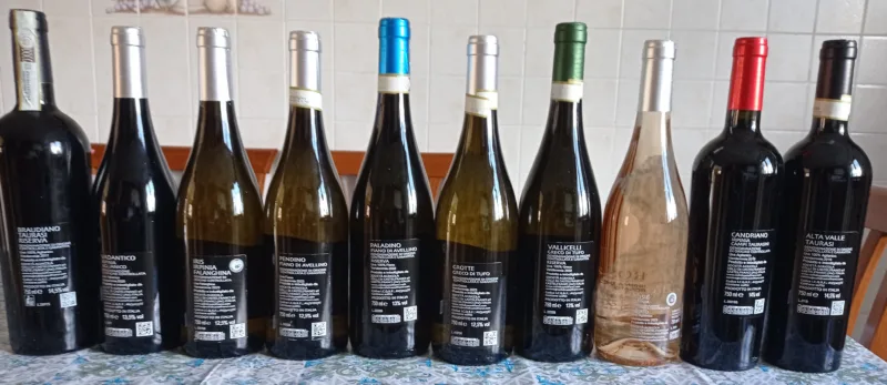Controetichette vini Colli di Castelfranci
