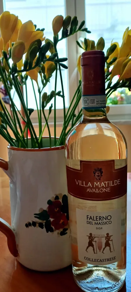 Falerno del Massico Bianco Collecastrese 2023 Dop